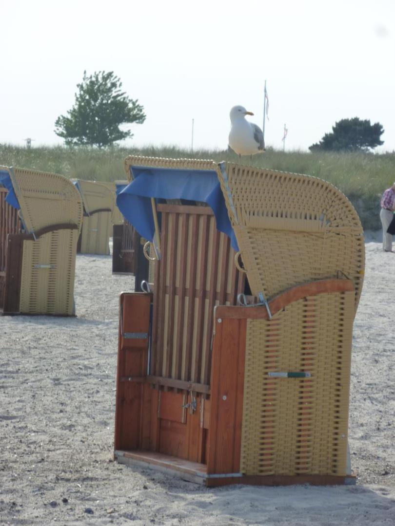Traumhafter Ostsee-Ausblick, Fewo Direkt Am Strand Fehmarn Exterior photo